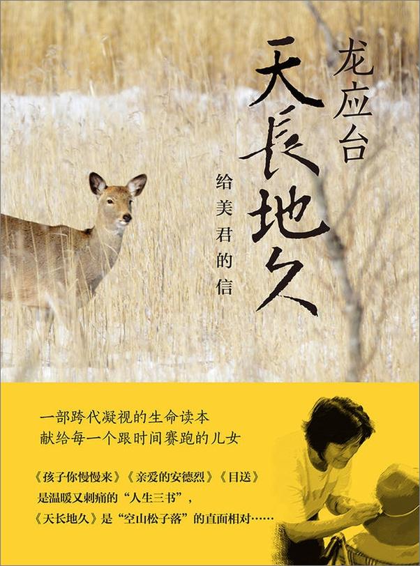 书籍《天长地久：给美君的信》 - 插图1