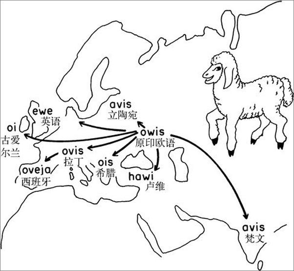 书籍《第三种黑猩猩 _ 人类的身世与未来 - 贾雷德·戴蒙德》 - 插图1