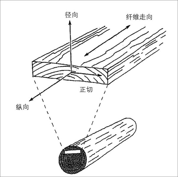 书籍《造物记：人与树的故事》 - 插图2