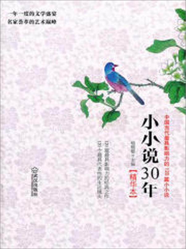 书籍《小小说30年精华本：中国当代最具影响力的120篇小小说》 - 插图2