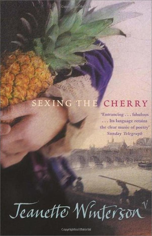 书籍《Sexing the Cherry - Jeanette Winterson》 - 插图1