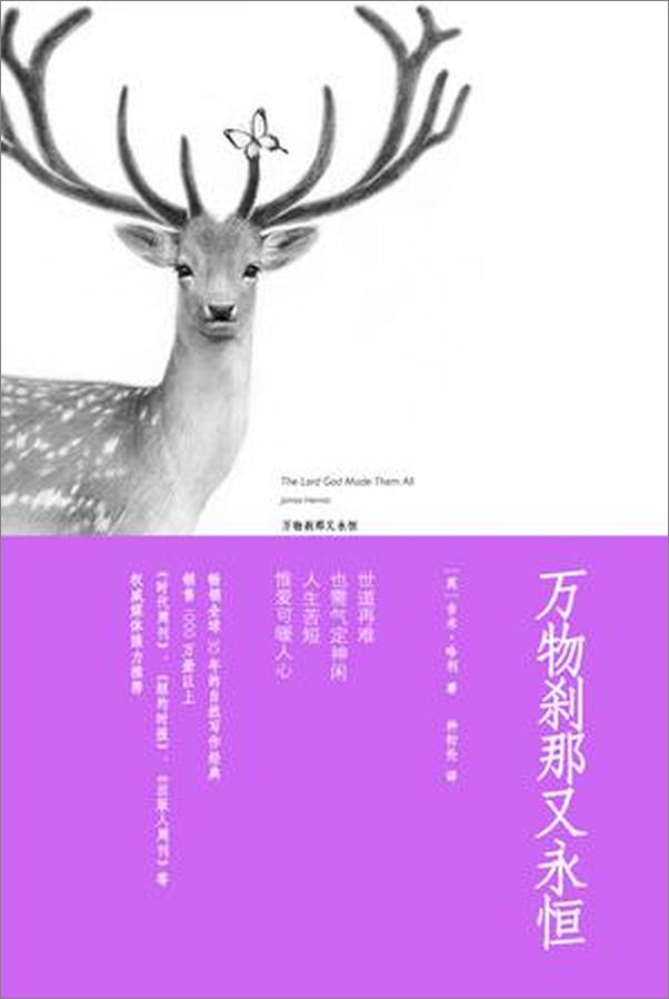 书籍《万物刹那又永恒》 - 插图1