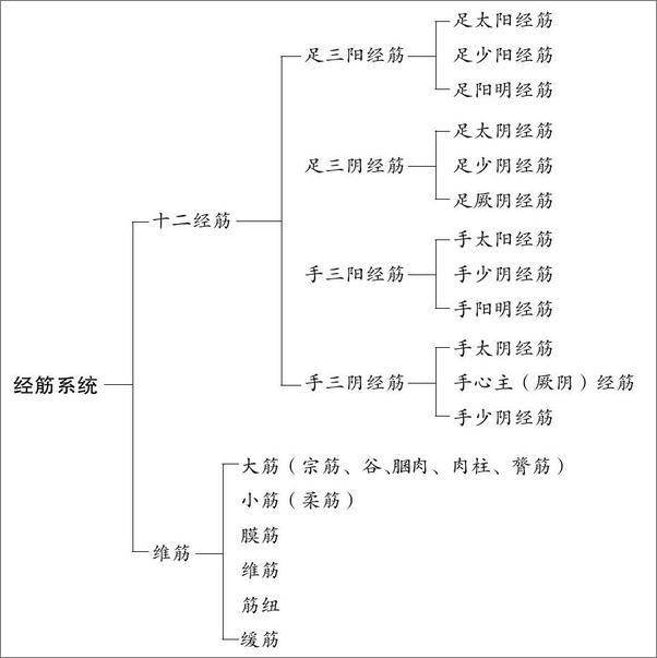 书籍《拉筋拍打治百病大全集》 - 插图1