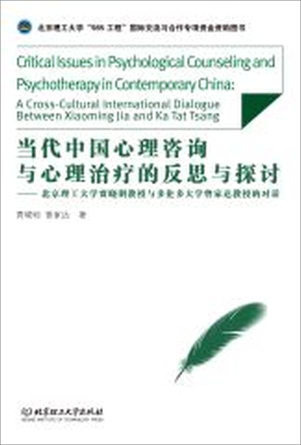 书籍《当代中国心理咨询与心理治疗的反思与探讨》 - 插图2