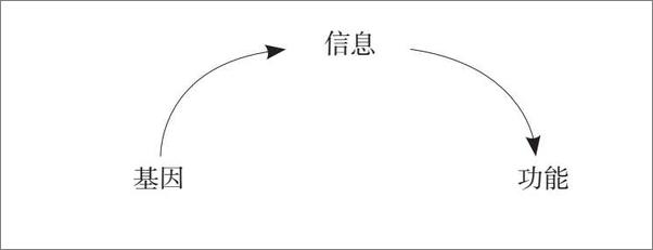 书籍《基因传：众生之源》 - 插图2