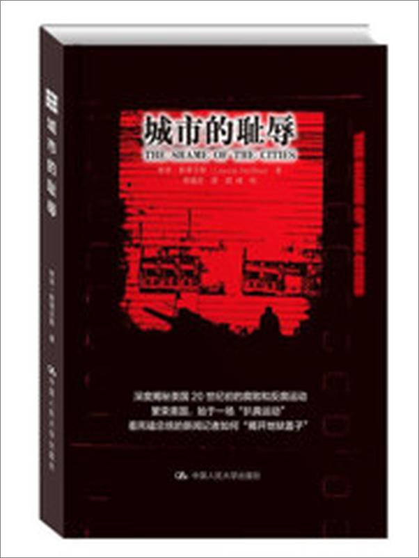 书籍《城市的耻辱》 - 插图2