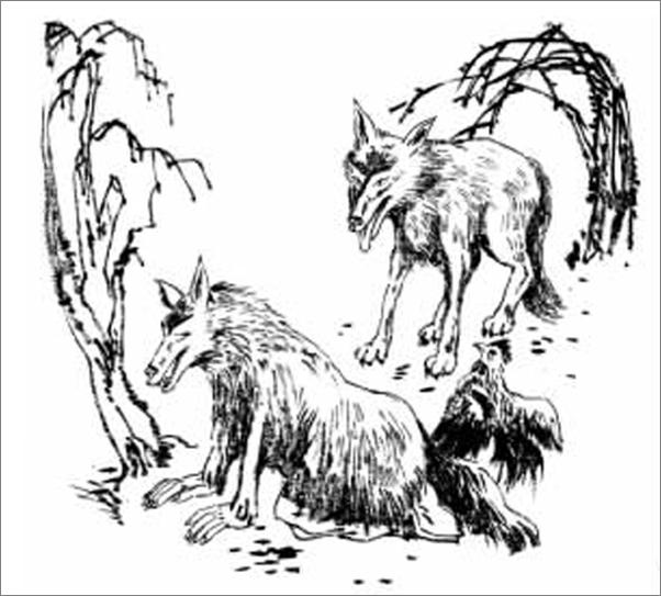 书籍《第七条猎狗》 - 插图2