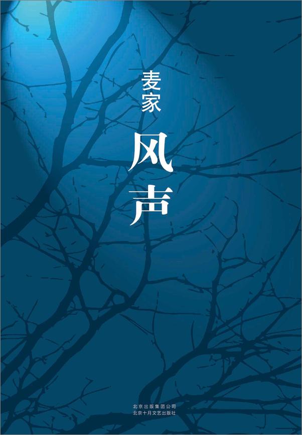 书籍《麦家谍战全集》 - 插图1