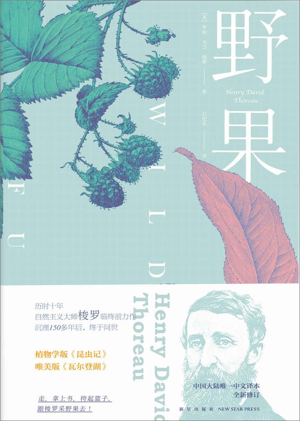 书籍《野果》 - 插图1