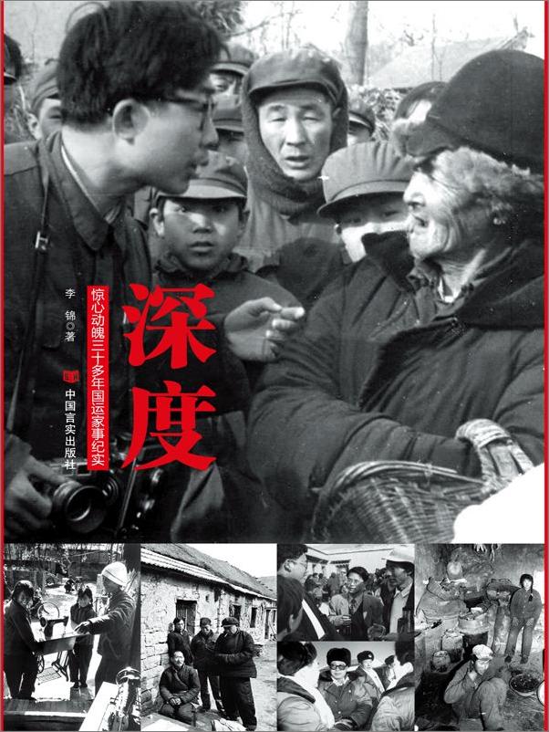 书籍《深度：惊心动魄三十多年国运家事纪实》 - 插图2