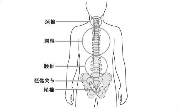 书籍《强直性脊柱炎防治问答》 - 插图2