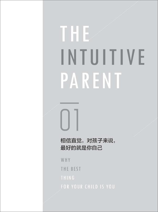 书籍《直觉养育的力量：放下焦虑，培养未来世界的孩子》 - 插图2