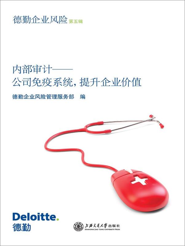 书籍《内部审计——公司免疫系统，提升企业价值_第5辑》 - 插图1