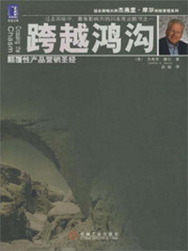 书籍《跨越鸿沟-颠覆性产品营销圣经》 - 插图2