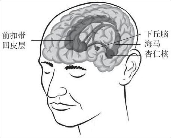 书籍《重塑大脑回路：如何借助神经科学走出抑郁症》 - 插图1