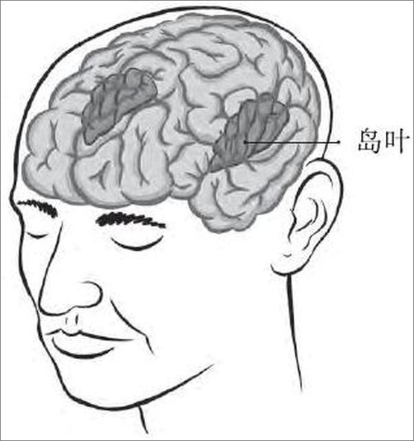 书籍《重塑大脑回路：如何借助神经科学走出抑郁症》 - 插图2