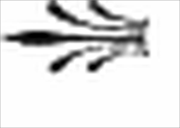 书籍《我们应有的反思：葛剑雄编年自选集》 - 插图2