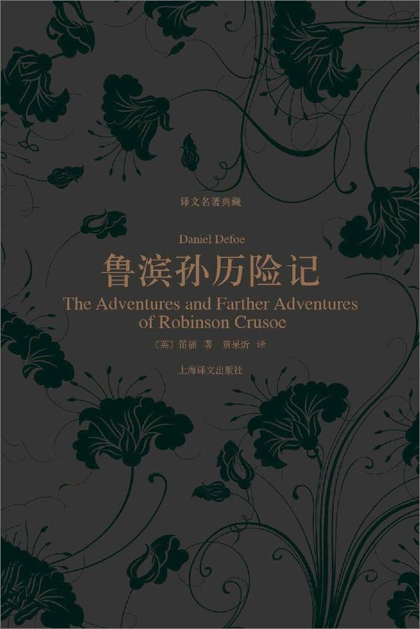 书籍《鲁滨孙历险记（译文名著典藏）》 - 插图1