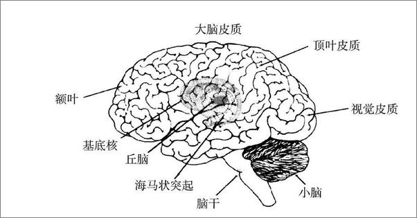 书籍《第二自然 》 - 插图2