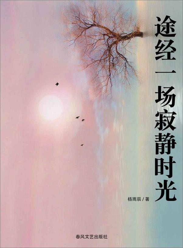 书籍《途经一场寂静时光 - 杨雨辰》 - 插图1