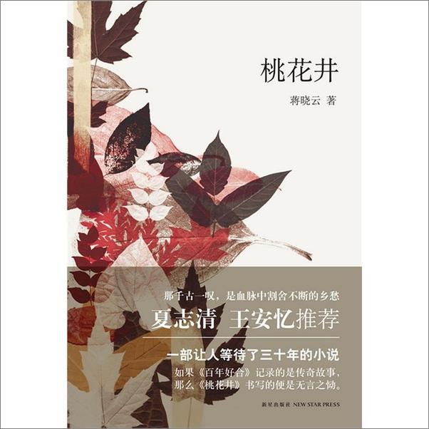 书籍《桃花井》 - 插图1