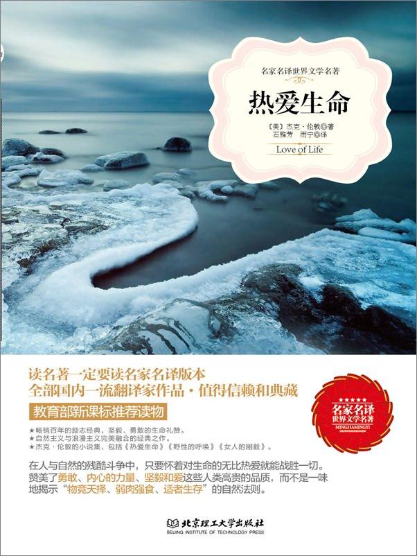 书籍《名家名译-美国短篇小说精选集》 - 插图1