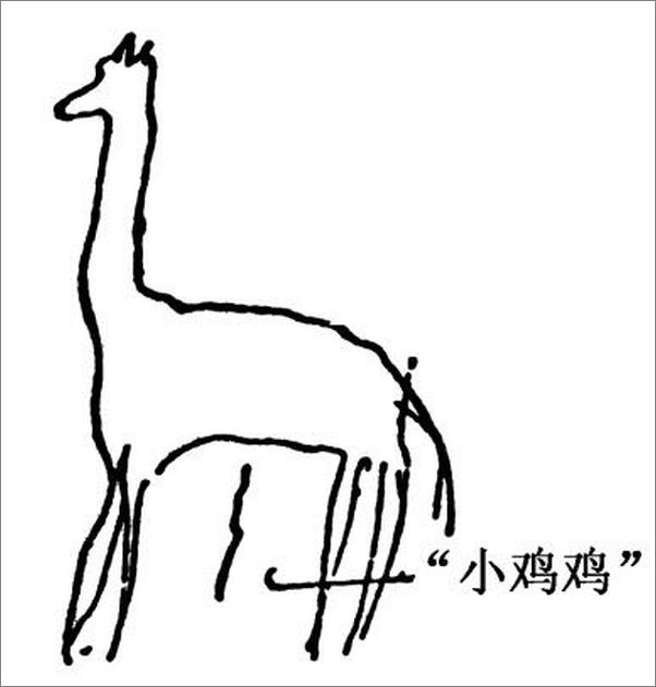 书籍《弗洛伊德五大心理治疗案例》 - 插图1
