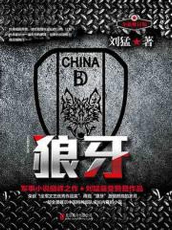 书籍《狼牙》 - 插图2