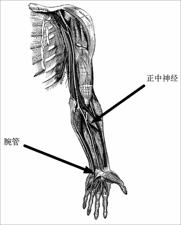 书籍《程序员健康指南》 - 插图2