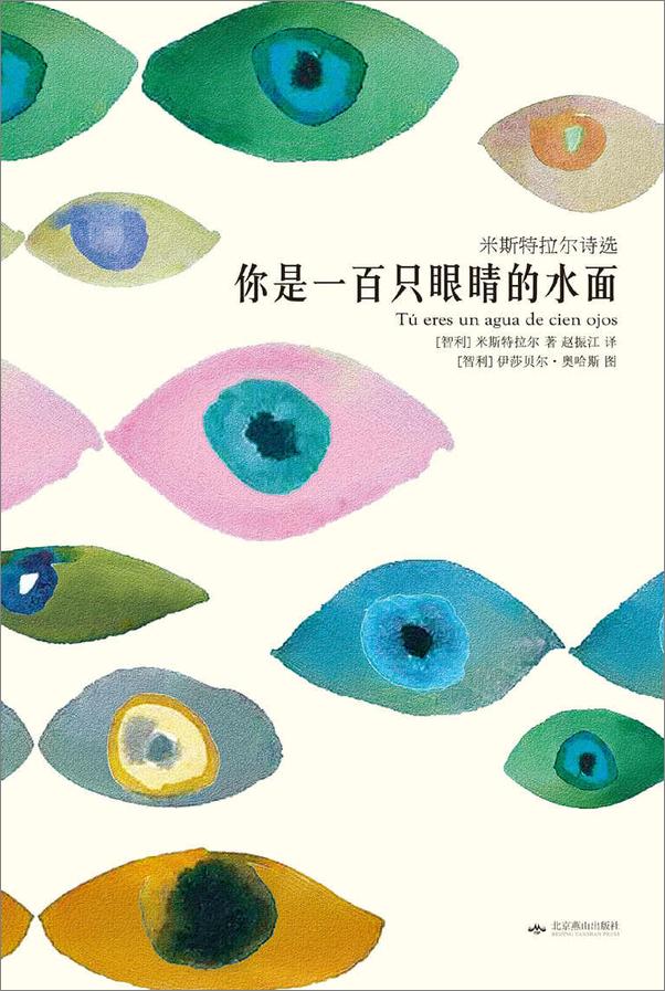 书籍《你是一百只眼睛的水面》 - 插图1