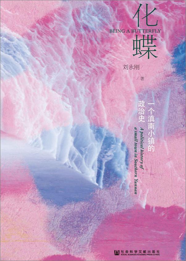 书籍《化蝶：一个滇南小镇的政治史》 - 插图2