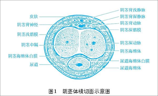 书籍《男人书》 - 插图1