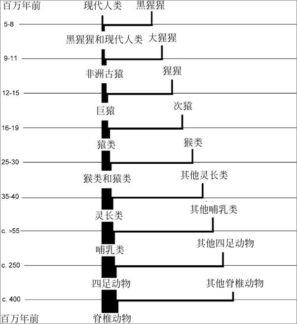 书籍《人类进化简史》 - 插图2