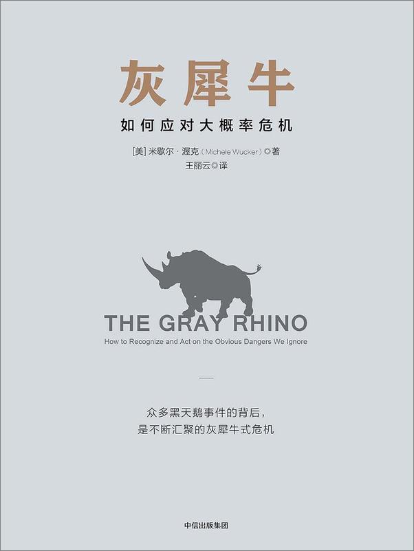 书籍《灰犀牛》 - 插图1