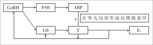 书籍《男性不育症知识与门诊心理调适》 - 插图2