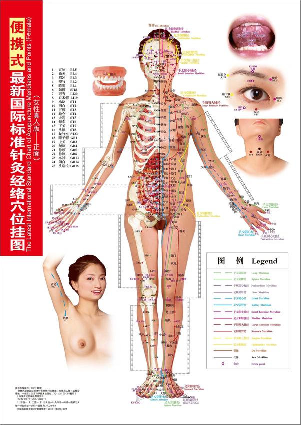 书籍《便携式最新国际标准针灸经络穴位挂图》第1页截图