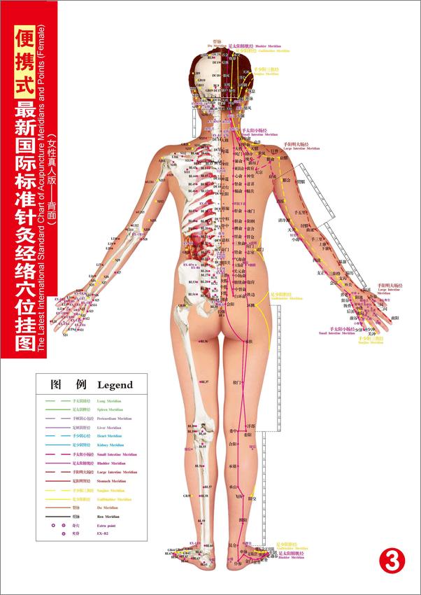 书籍《便携式最新国际标准针灸经络穴位挂图》第4页截图