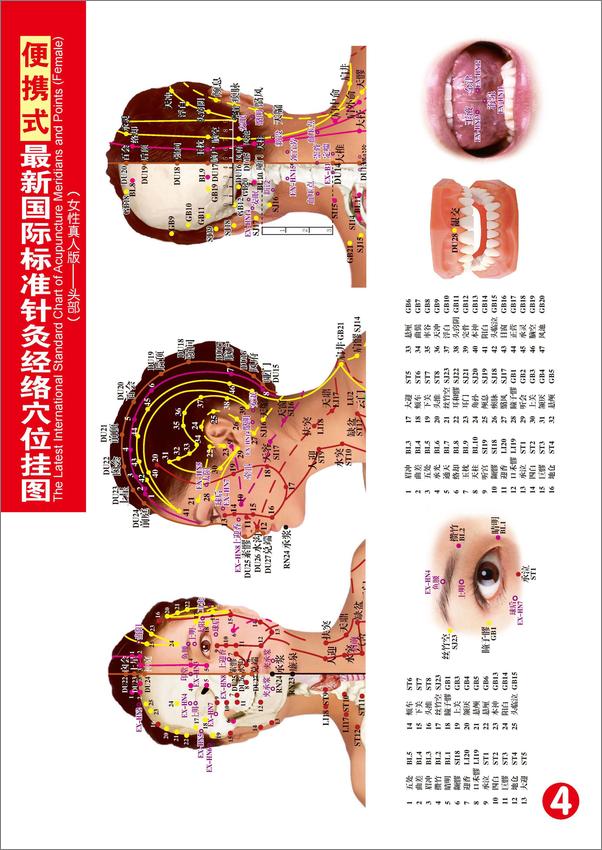 书籍《便携式最新国际标准针灸经络穴位挂图》第5页截图