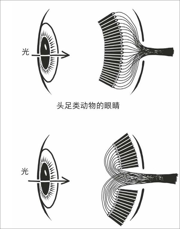 书籍《缺陷也完美》 - 插图2