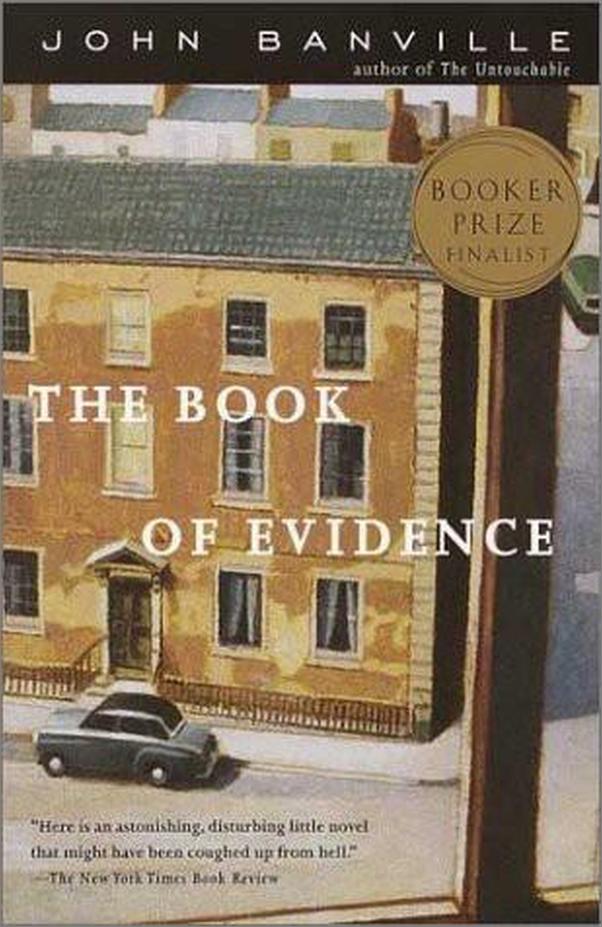 书籍《TheBookofEvidence》 - 插图1