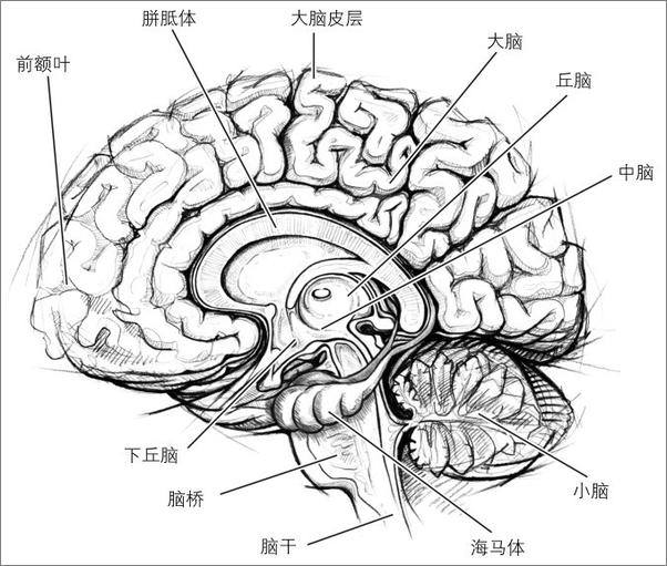 书籍《脑力触发：记忆冠军的大脑训练术》 - 插图2