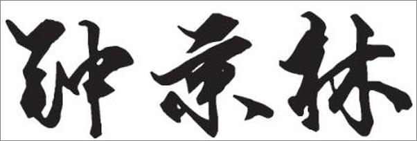 书籍《正说司马家2：儿子司马昭》 - 插图2