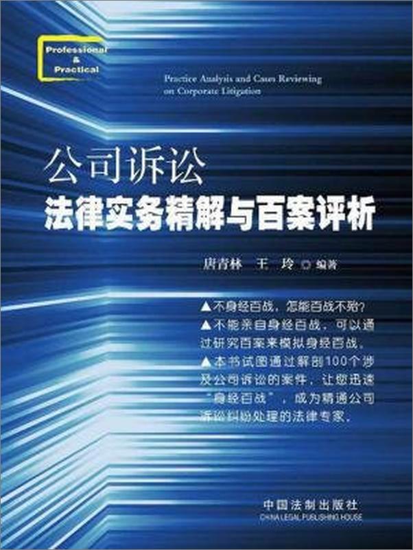 书籍《公司诉讼法律实务精解与百案评析》 - 插图1