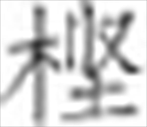 书籍《小说家与小说》 - 插图1